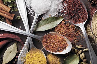 Seasonings, spices, vegetable fats, nutritional supplements